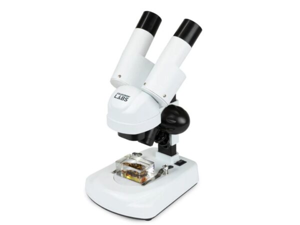 Celestron Celestron Labs S20 Angled Stereo Microscope