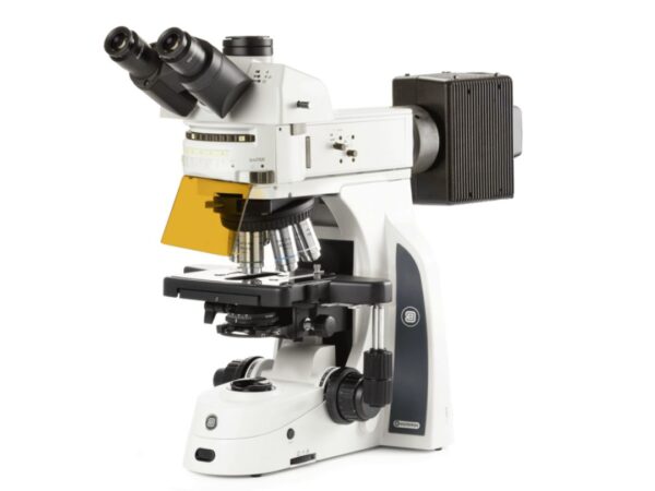 Euromex Delphi-X Observer Fluorescence