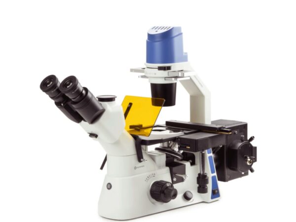 Euromex Oxion Inverso (fluorescentie)