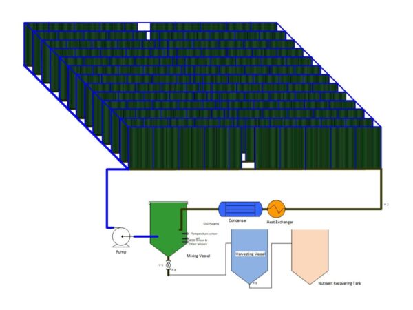 Fermex BioFotonL Photobioreactor-Industrial Scale