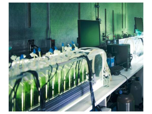 Solida Biotech Photobioreactors